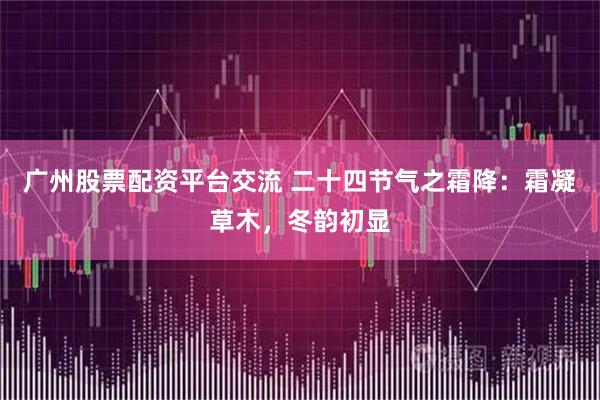 广州股票配资平台交流 二十四节气之霜降：霜凝草木，冬韵初显
